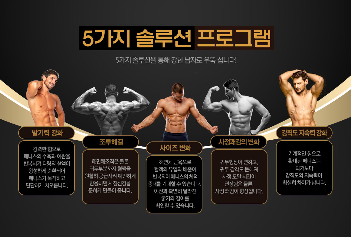5가지 솔루션 프로그램