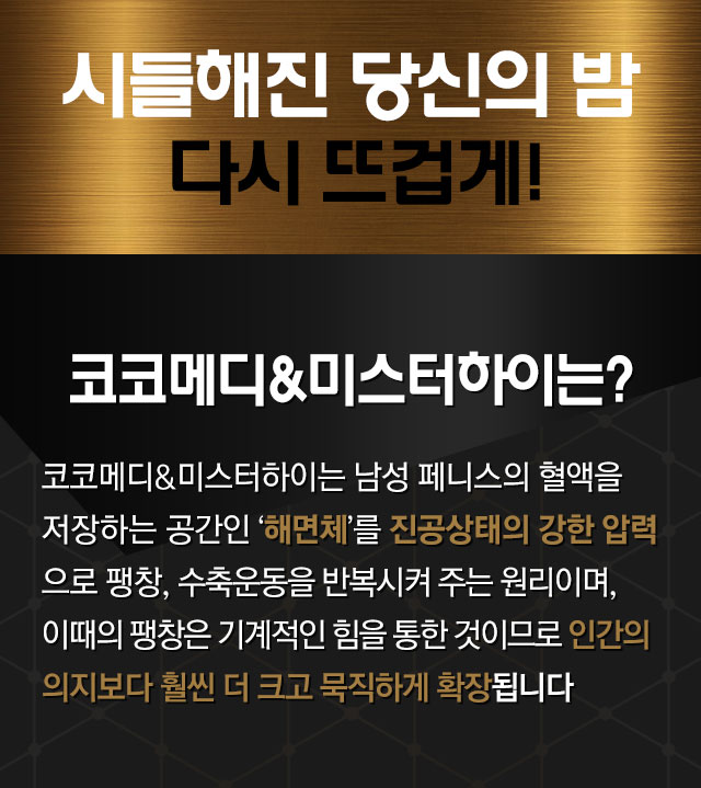 코코메디n미스터하이는?