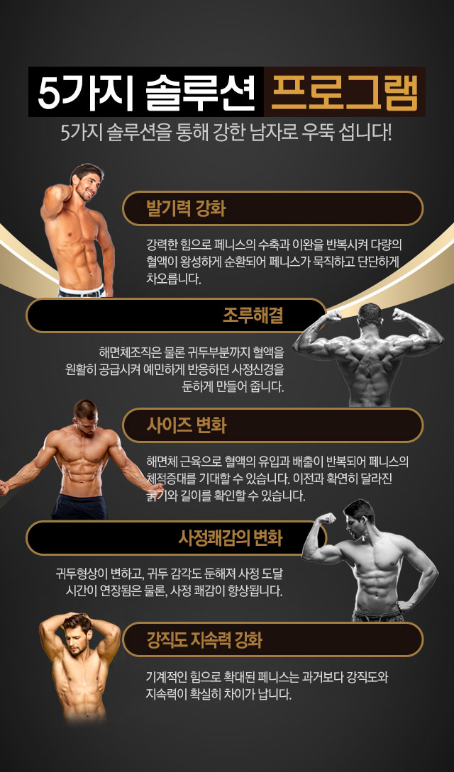 5가지 솔루션 프로그램