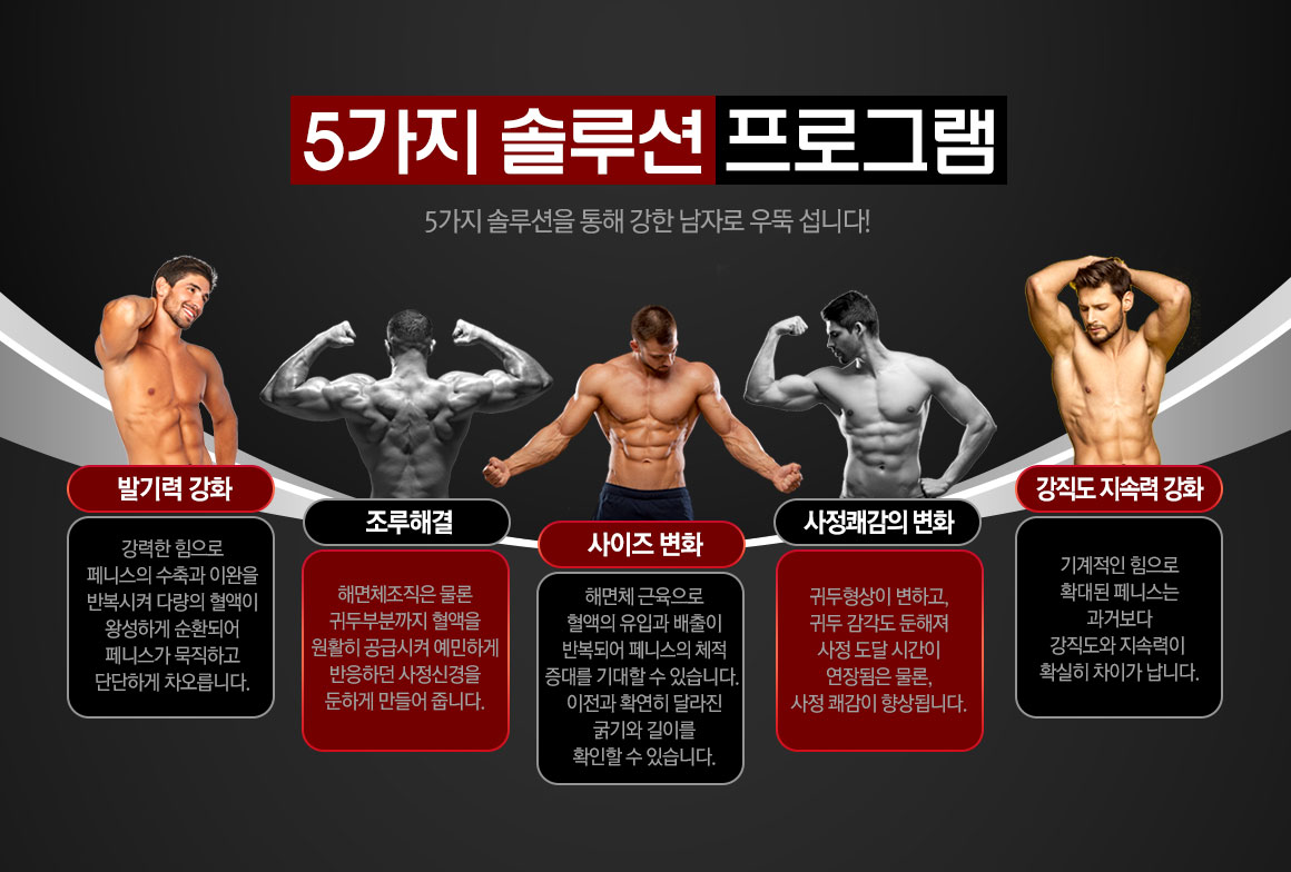 5가지 솔루션 프로그램