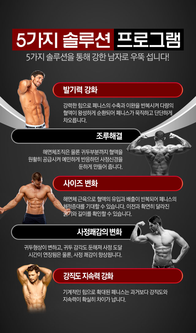 5가지 솔루션 프로그램